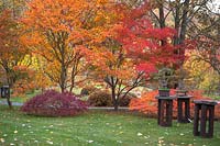 Autumnal Japanese garden 