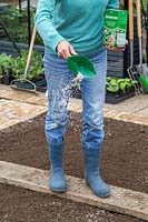 Woman spreading Growmore fertiliser granules onto soil in kitchen garden. 