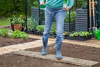 Woman spreading Growmore fertiliser granules onto soil in kitchen garden. 