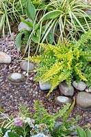 Osmunda regalis - Royal fern, stones and water in The Equilibrium Garden, designed by Richard Heys MICHort and Audra Bickerdyke, working with female prisoners at HMPPS and YOI Styal at RHS Tatton Park Flower Show, 2019. 