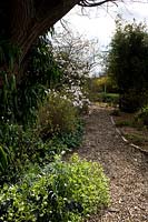 View up gravel pathway with spring-interest planting in borders. 