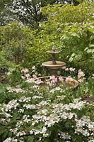 A classical stone water fountain in woodland style garden with Tulipa 'Angelique' and Viburnum plicatum 'Mariesii' 