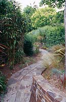 Meandering path through mixed borders - Pecorama Garden, Devon