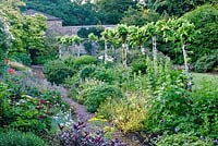 The Lower Walled garden at Heddon Hall, Devon, UK, with pleached Tilia - Lime trees, mixed shrubs and herbaceous plants. 