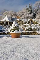 The snow-covered 'Millenium' garden at Burrow Farm Garden, Dalwood, Devon, UK. 