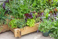 Corner raised bed with mixed vegetables. 