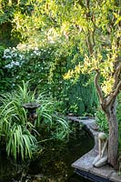 Pond beneath weeping willow in Little Friars Garden, Battle, Sussex, UK.  