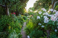 Paved path between informal summer borders. Little Friars Garden, Battle, Sussex, UK. 