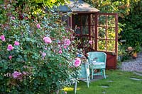 View past pink flowering Rose to wooden summerhouse and wicker chairs. Little Friars Garden, Battle, Sussex, UK. 