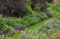 Long terraced borders below the main lawn with path, Plants include Salvia officinalis 'Purpurascens' - purple sage, Libertia, Hebe, Geranium, Berberis, Iris and Physocarpus opulifolius 'Diabolo' - Ninebark 
