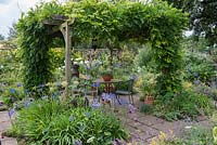 Above a shady dining table, a wisteria-clad pergola, the uprights in beds of blue agapanthus and dark pink drumstick alliums.