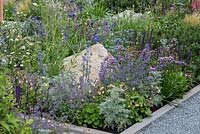 A border of nectar rich flowers inclusing Eryngiums, Nepeta, Statice, Salvias and Geums