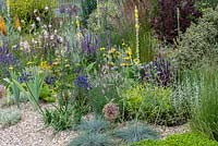 A drought tolerant gravel garden featuring a range of plants adapted to cope with dry spells. Beth Chatto: The Drought Resistant Garden, designed by David Ward, RHS Hampton Court Garden Palace Show, 2019.
