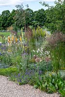 A drought tolerant gravel garden featuring a range of plants adapted to cope with dry spells. Beth Chatto: The Drought Resistant Garden, designed by David Ward, RHS Hampton Court Garden Palace Show, 2019.

