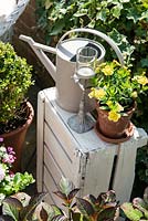 Watering can on painted white wooden box used to display summer containers