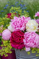 Arrangement of newly picked Paeonia - Peonies with Alchemilla mollis.