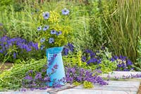Blue enamel jug with bunch of Nigella, Parsley seedstands and Stipa tenuissima. 
