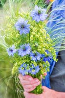 Woman holding bunch of Nigella, Parsley seedstands and Stipa tenuissima.
