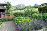 Kitchen garden with views towards Roundton Hill Nature Reserve. Hurdley Hall, Powys, Wales, UK.