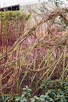 Woven willow screen in the winter garden at Ellicar Gardens, Doncaster, UK.
