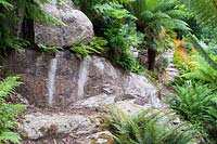 Large granite outcrops are surrounded by lush ferns including  Dicksonia antartic - Tree ferns. 