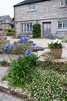 Terrace around the house with self-seeded Erigeron karvinskianus, Agapanthus, a pot of white phlox and troughs of succulents. 