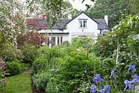 A former eighteenth century farm labourer's cottage seen over borders of snowball bush, foxgloves, irises, lilac and alliums.