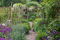 Path edged in catmint, Alchemilla and alliums leads from Cottage Garden to a pergola covered  in white Wisteria.