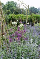A rustic wigwam rises above Alliums 'Purple Rain', 'Mount Everest' and 'Miami', surrounded by perennials including Nepeta - Catmint. 
