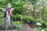 A small vegetable garden with a scarecrow watching over step-over apple trees and broad beans.