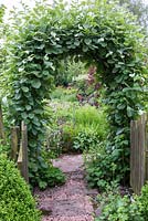 A whitebeam arch frames the view of an informal garden beyond.