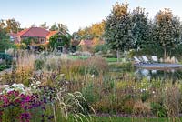 View across natural pond and informal borders at Ellicar Gardens, Doncaster, UK.