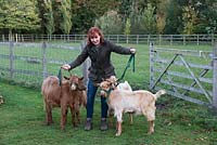 Sarah Murch with her pet goats, pedigree Golden Guernseys, a rare breed.