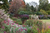 Miscanthus and shrubby salvias line a pathway leading to an autumn border of dahlias, salvias and asters.  In distance, an American red oak. In pot, Salvia 'Love and Wishes'.