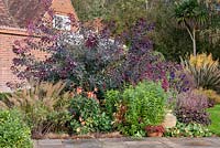 Autumn border with penstemon, ornamental grasses, dahlias, heucheras and smokebush, Cotinus coggygria 'Royal Purple'.