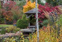 Seen through dogwoods and birch trunk beside pond, summerhouse and deck with Acer palmatum 'Ozakazuki' and golden Acer palmatum 'Eddisbury', the coral bark maple.