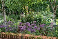 Glimpsed between trunks of silver birches and Allium cristophii, a box parterre is planted with bistort, hardy geraniums, centaurea, foxgloves, ragged robin, astrantias, aquilegias and roses.