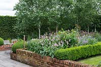 Betula utilis var. jacquemontii, separating a rill from a box parterre planted with Bistort, Roses, hardy Geraniums, Centaureas, Astrantias and ragged robin with Hornbeam hedge enclosing the garden.