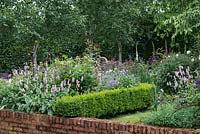 A bed of a box parterre is planted with Bistort, Roses, hardy Geraniums, Foxgloves, Centaureas, Astrantias and ragged robin. Behind, silver birches. Hornbeam hedge encloses the garden.