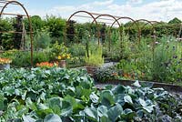A rusted iron pergola covers a path leading between the raised beds of cabbages and flowers in a vegetable parterre.