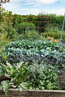 In a vegetable parterre, rows of cabbages and kale lead up to an iron pergola.
