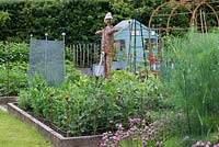 Broad beans and peas are supported in a raised bed in a vegetable parterre.