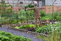 A woven willow scarecrow keeps guard over a raised bed of lettuces in a vegetable parterre.