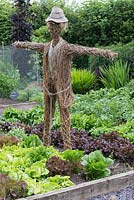 In a vegetable parterre, a woven willow scarecrow keeps guard over a raised bed of lettuces - 'Catalogna', 'All year Round,' 'Cos' and 'Lollo Rosso'.