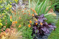 Geum 'Totally Tangerine' in a border with Heuchera 'Plum Pudding' and Stipa tenuissima - The Redshift, RHS Malvern Spring Festival 2019