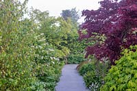 Path leading through mixed borders  - The Leaf Creative Garden - A Garden of a quiet contemplation - RHS Malvern Spring Festival 2019