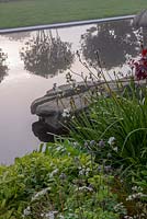 Libertial grandiflora next to a reflective pond - The Leaf Creative Garden - A Garden of a quiet contemplation - RHS Malvern Spring Festival 2019