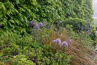 Mixed Border and hedge - The Leaf Creative Garden - A Garden of a quiet contemplation - RHS Malvern Spring Festival 2019