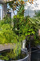 Small exotic garden with a planted container pond - Defiance - Green Living Spaces, RHS Malvern Spring Festival 2019