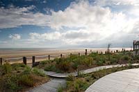 Gravel-mulched borders by decked pathways, with view to beach. 